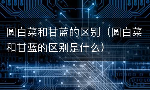 圆白菜和甘蓝的区别（圆白菜和甘蓝的区别是什么）
