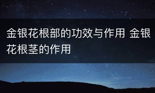 金银花根部的功效与作用 金银花根茎的作用