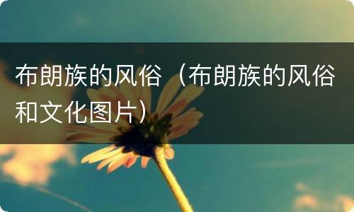 布朗族的风俗（布朗族的风俗和文化图片）