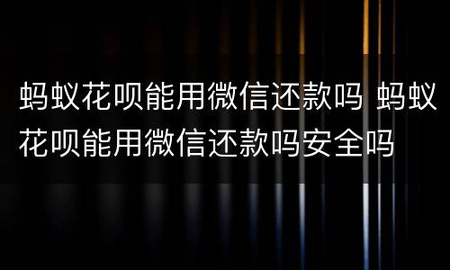 蚂蚁花呗能用微信还款吗 蚂蚁花呗能用微信还款吗安全吗