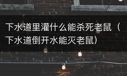 下水道里灌什么能杀死老鼠（下水道倒开水能灭老鼠）