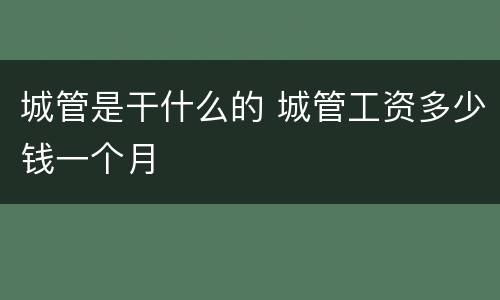 城管是干什么的 城管工资多少钱一个月