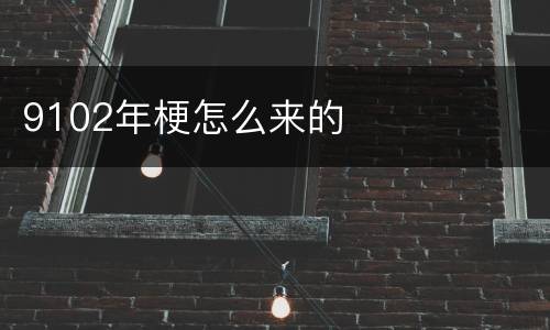 9102年梗怎么来的
