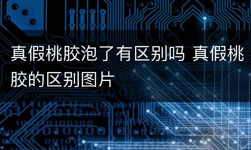 真假桃胶泡了有区别吗 真假桃胶的区别图片
