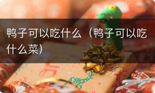 鸭子可以吃什么（鸭子可以吃什么菜）
