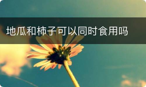 地瓜和柿子可以同时食用吗