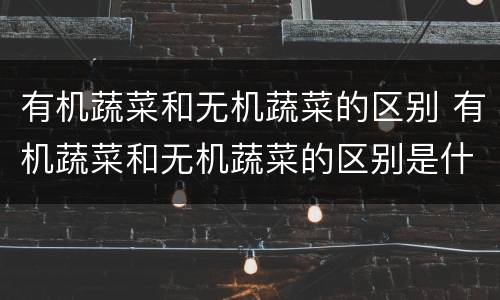 有机蔬菜和无机蔬菜的区别 有机蔬菜和无机蔬菜的区别是什么?