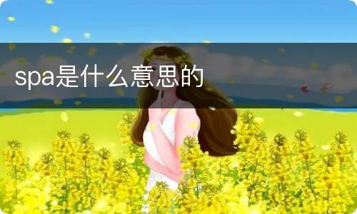 spa是什么意思的