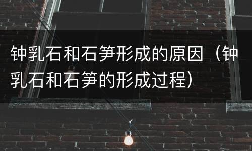 钟乳石和石笋形成的原因（钟乳石和石笋的形成过程）