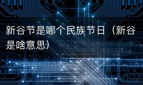新谷节是哪个民族节日（新谷是啥意思）