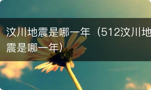 汶川地震是哪一年（512汶川地震是哪一年）