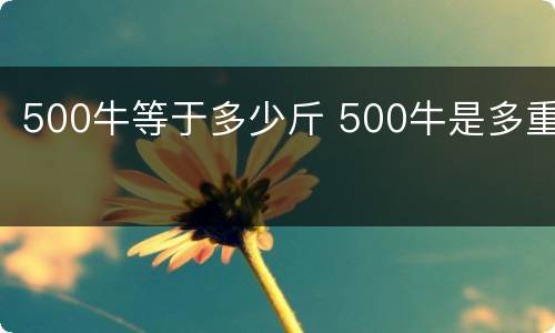500牛等于多少斤 500牛是多重