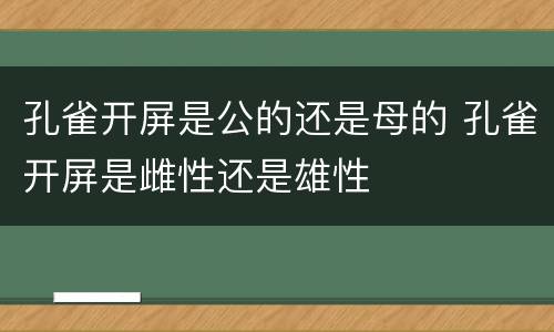 孔雀开屏是公的还是母的 孔雀开屏是雌性还是雄性