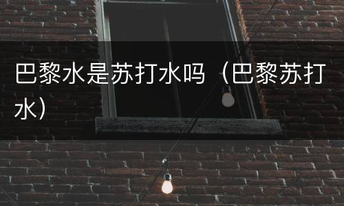 巴黎水是苏打水吗（巴黎苏打水）