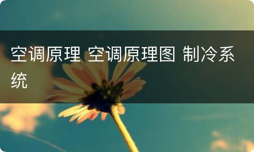 空调原理 空调原理图 制冷系统