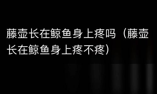 藤壶长在鲸鱼身上疼吗（藤壶长在鲸鱼身上疼不疼）