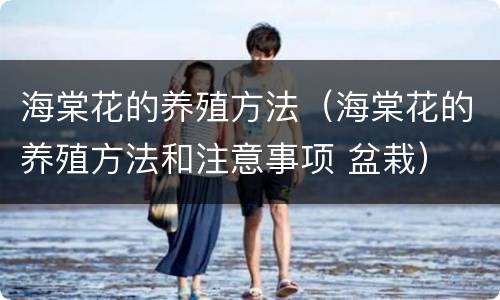 海棠花的养殖方法（海棠花的养殖方法和注意事项 盆栽）