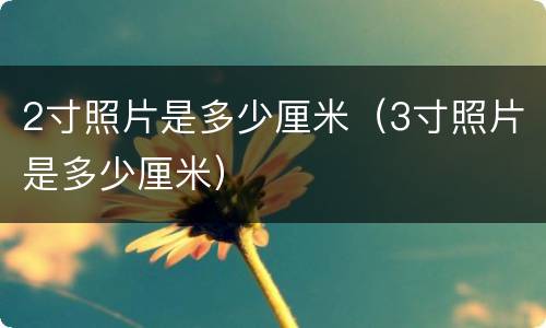 2寸照片是多少厘米（3寸照片是多少厘米）