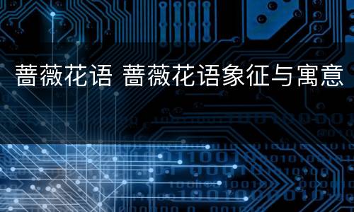 蔷薇花语 蔷薇花语象征与寓意
