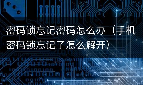 密码锁忘记密码怎么办（手机密码锁忘记了怎么解开）