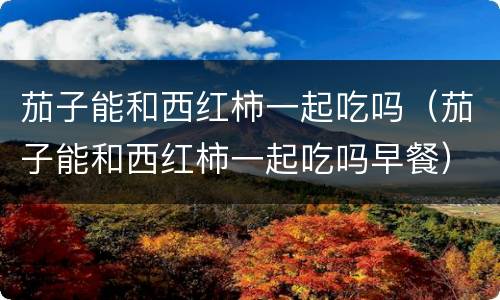 茄子能和西红柿一起吃吗（茄子能和西红柿一起吃吗早餐）