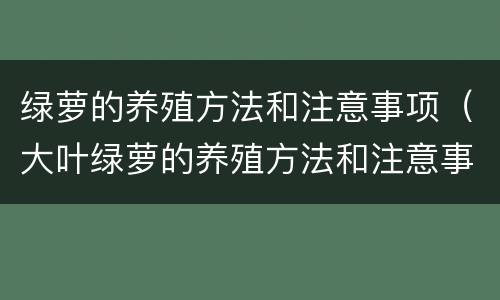 绿萝的养殖方法和注意事项（大叶绿萝的养殖方法和注意事项）