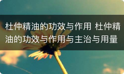 杜仲精油的功效与作用 杜仲精油的功效与作用与主治与用量