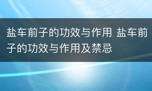 盐车前子的功效与作用 盐车前子的功效与作用及禁忌