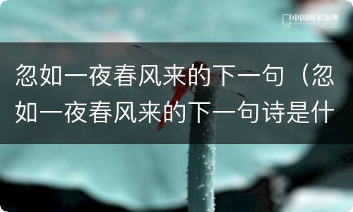 忽如一夜春风来的下一句（忽如一夜春风来的下一句诗是什么）
