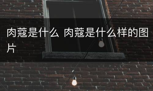 肉蔻是什么 肉蔻是什么样的图片