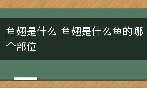 鱼翅是什么 鱼翅是什么鱼的哪个部位