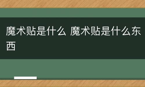 魔术贴是什么 魔术贴是什么东西