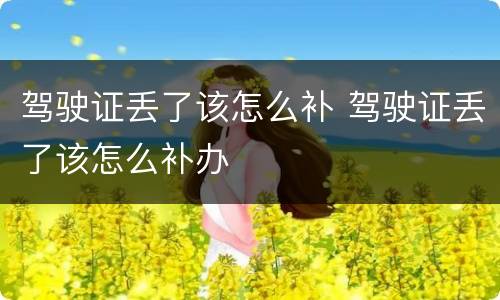 驾驶证丢了该怎么补 驾驶证丢了该怎么补办