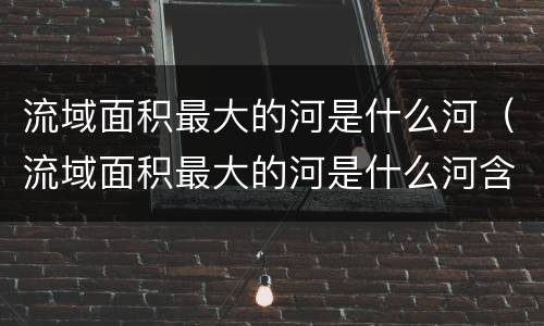 流域面积最大的河是什么河（流域面积最大的河是什么河含沙量最大的河是什么河）