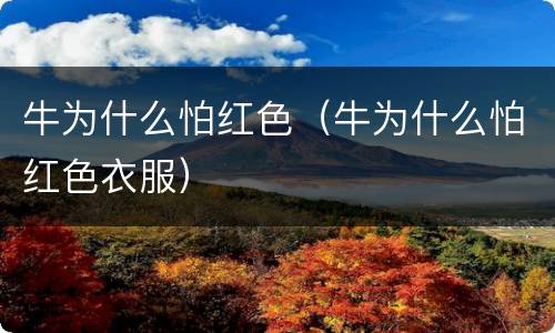 牛为什么怕红色（牛为什么怕红色衣服）