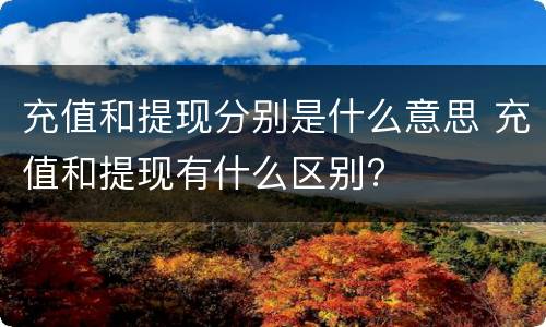 充值和提现分别是什么意思 充值和提现有什么区别?