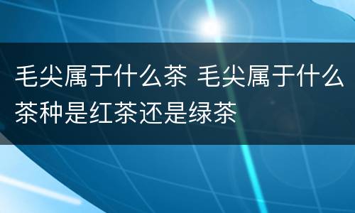 毛尖属于什么茶 毛尖属于什么茶种是红茶还是绿茶