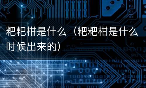 粑粑柑是什么（粑粑柑是什么时候出来的）