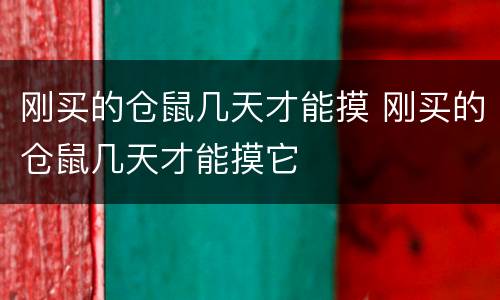 刚买的仓鼠几天才能摸 刚买的仓鼠几天才能摸它