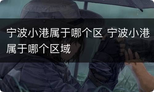 宁波小港属于哪个区 宁波小港属于哪个区域