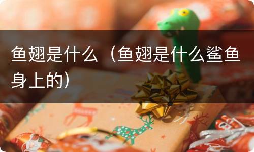 鱼翅是什么（鱼翅是什么鲨鱼身上的）