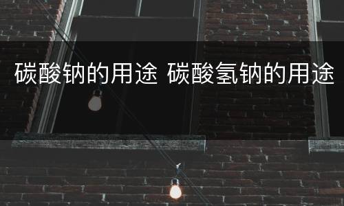 碳酸钠的用途 碳酸氢钠的用途