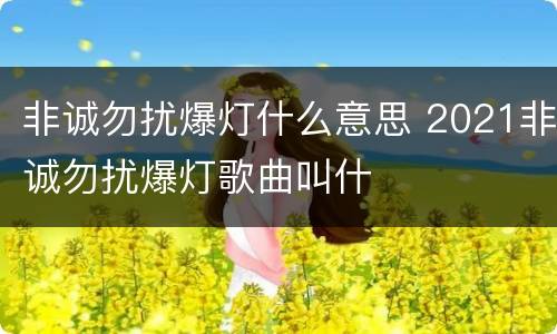 非诚勿扰爆灯什么意思 2021非诚勿扰爆灯歌曲叫什