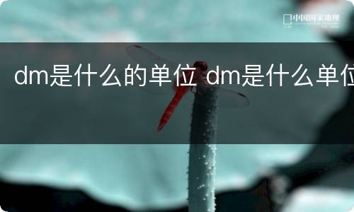 dm是什么的单位 dm是什么单位