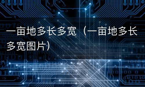 一亩地多长多宽（一亩地多长多宽图片）