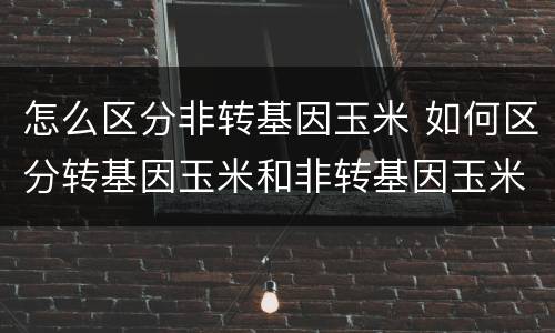怎么区分非转基因玉米 如何区分转基因玉米和非转基因玉米