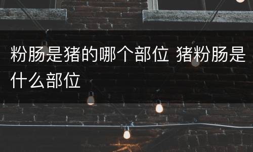 粉肠是猪的哪个部位 猪粉肠是什么部位