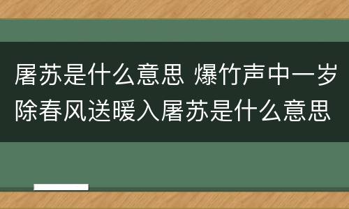 屠苏是什么意思 爆竹声中一岁除春风送暖入屠苏是什么意思