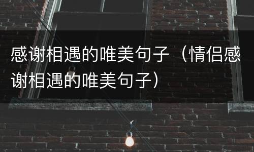感谢相遇的唯美句子（情侣感谢相遇的唯美句子）