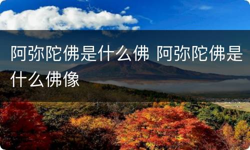 阿弥陀佛是什么佛 阿弥陀佛是什么佛像